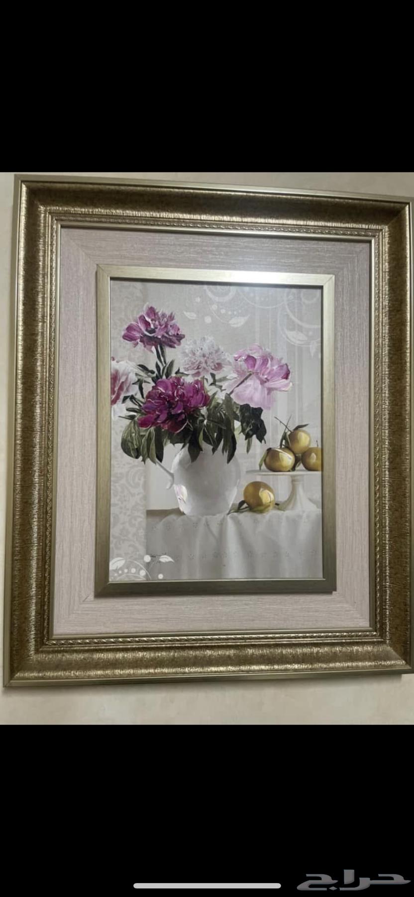 5 لوح للبيع64225996621698114