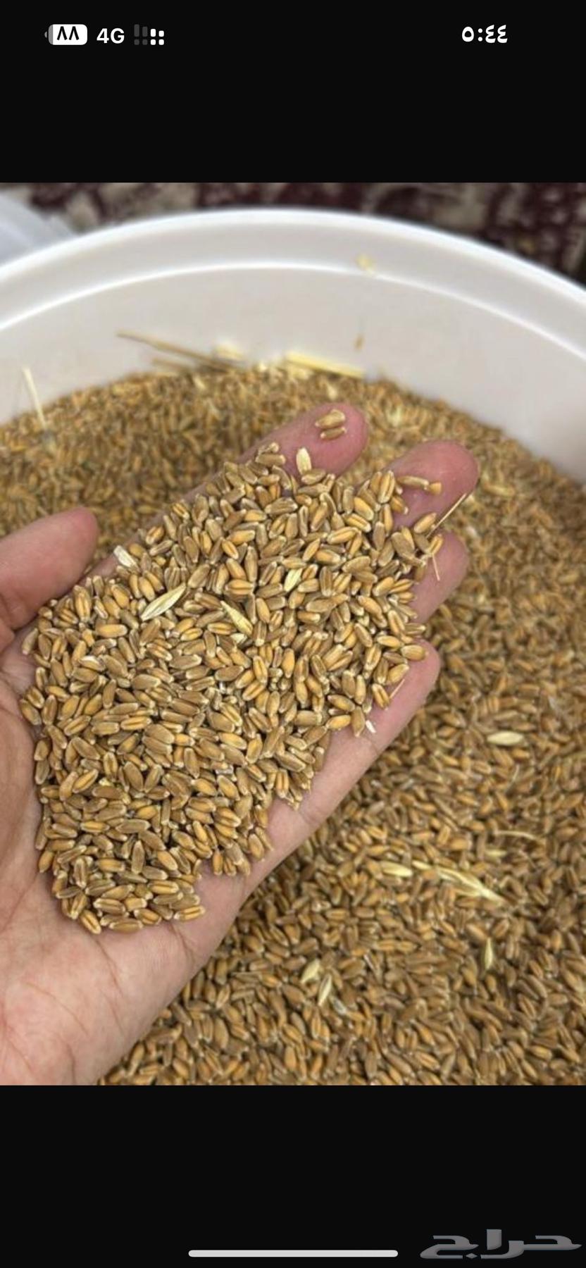 صما بدون كيماوي64208913417089110