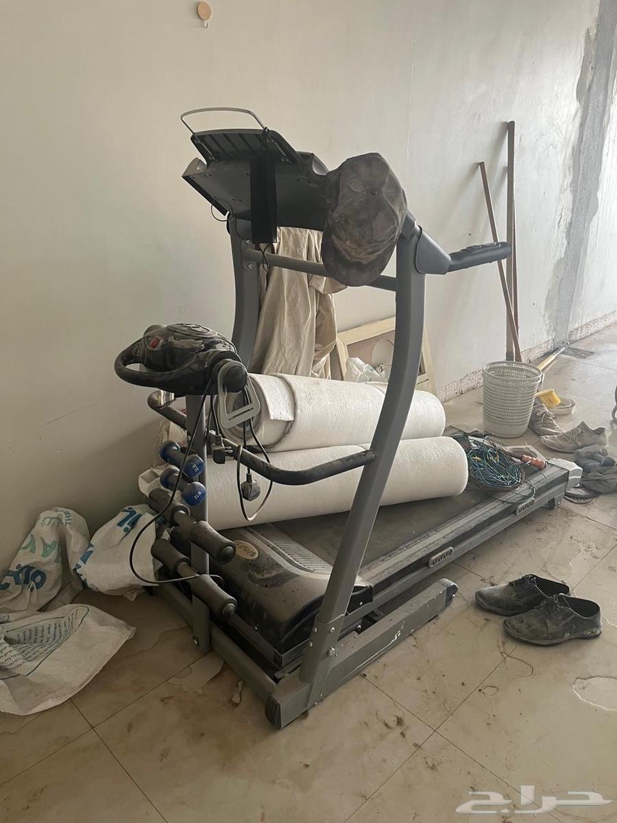 Syr w Skeel64227547191810110