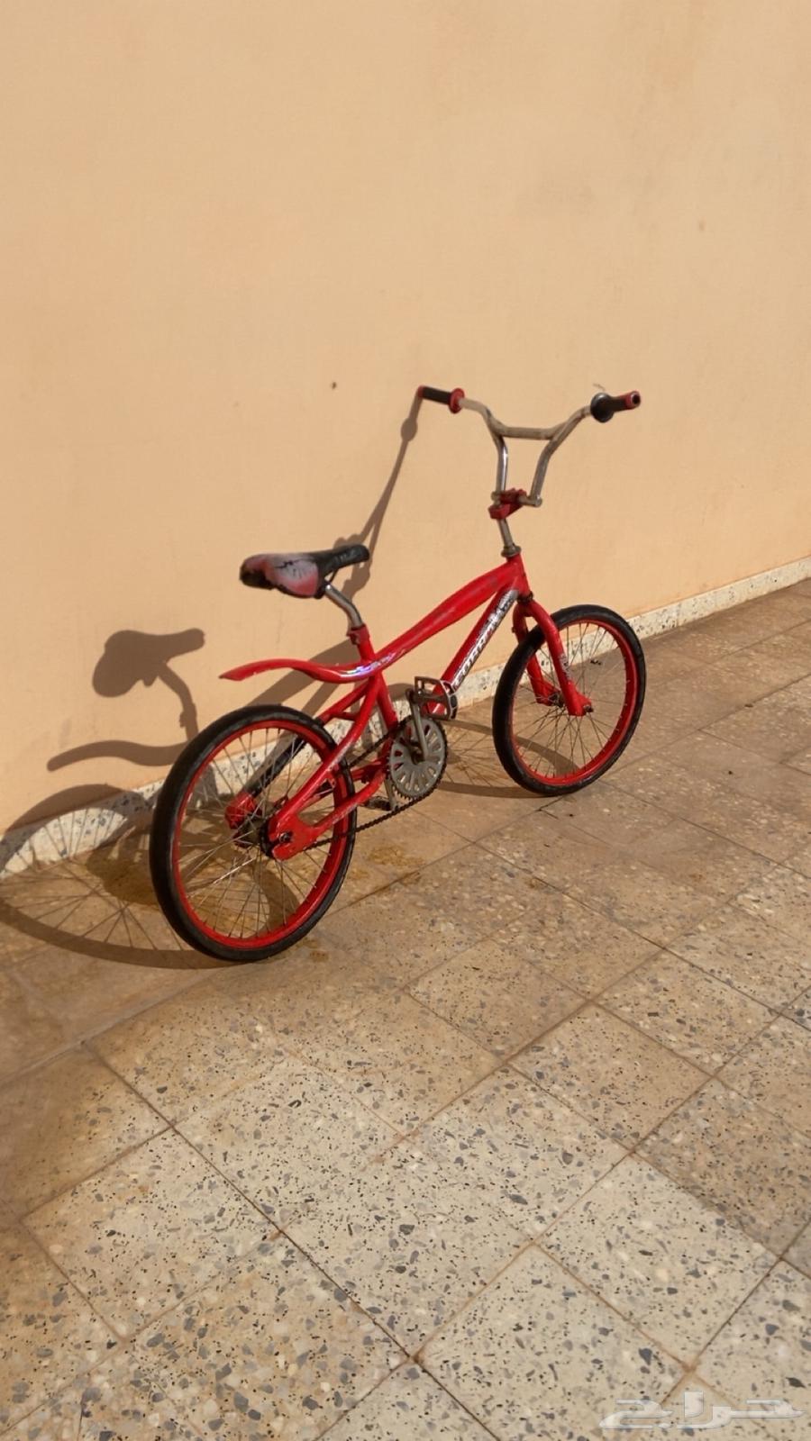 سيكل للبيع64237727495681112