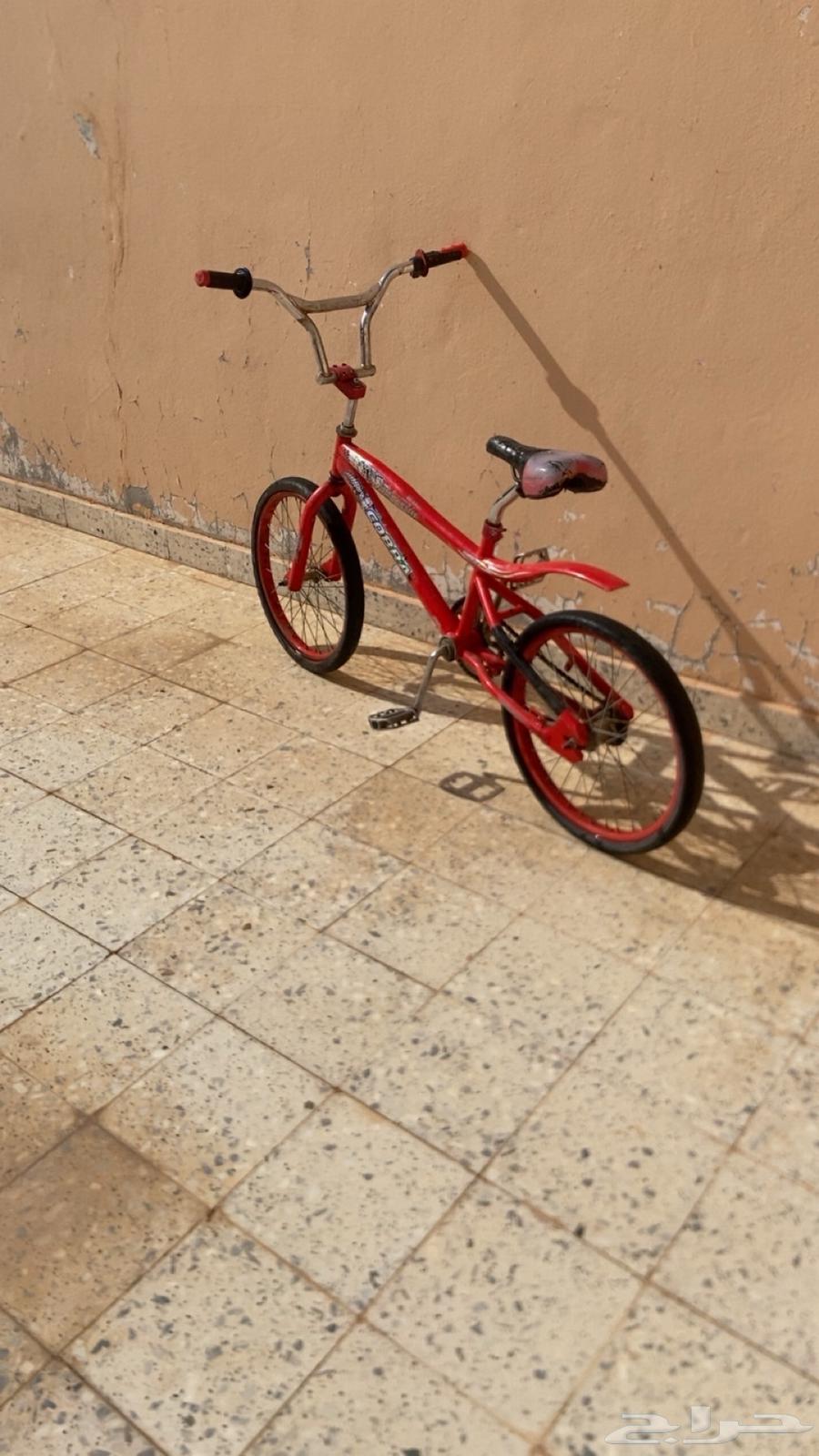 سيكل للبيع64237727495681110
