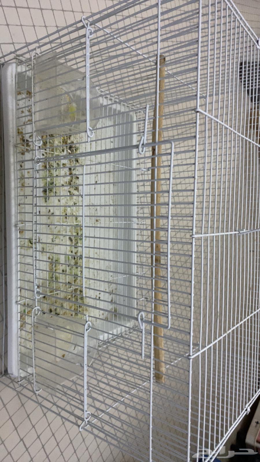 قفص للبيع64239372671361110