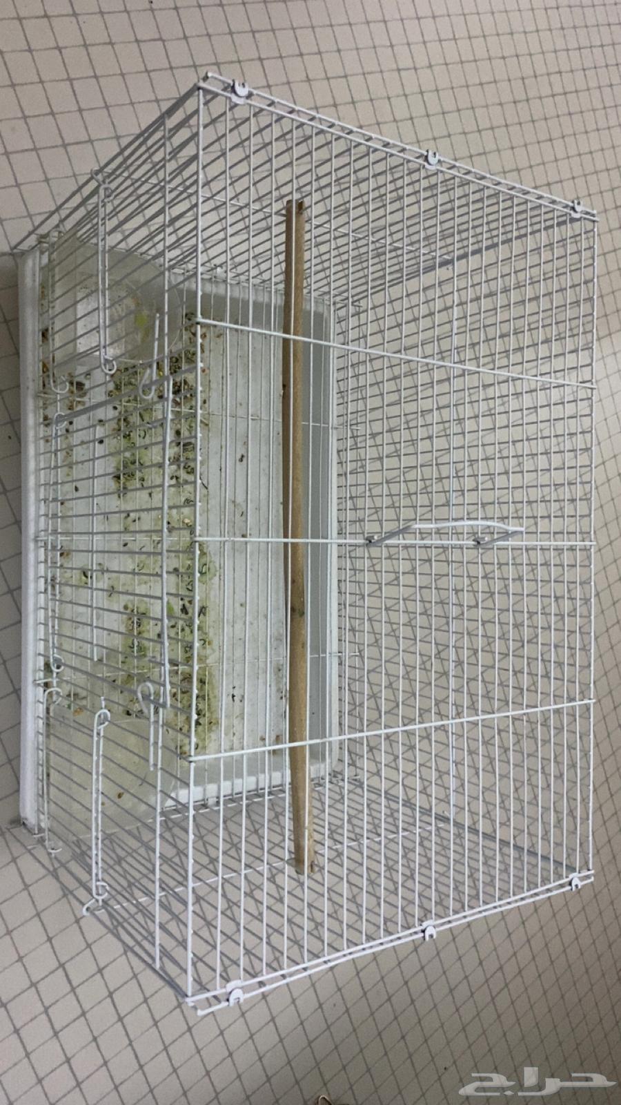 قفص للبيع64239372671361111