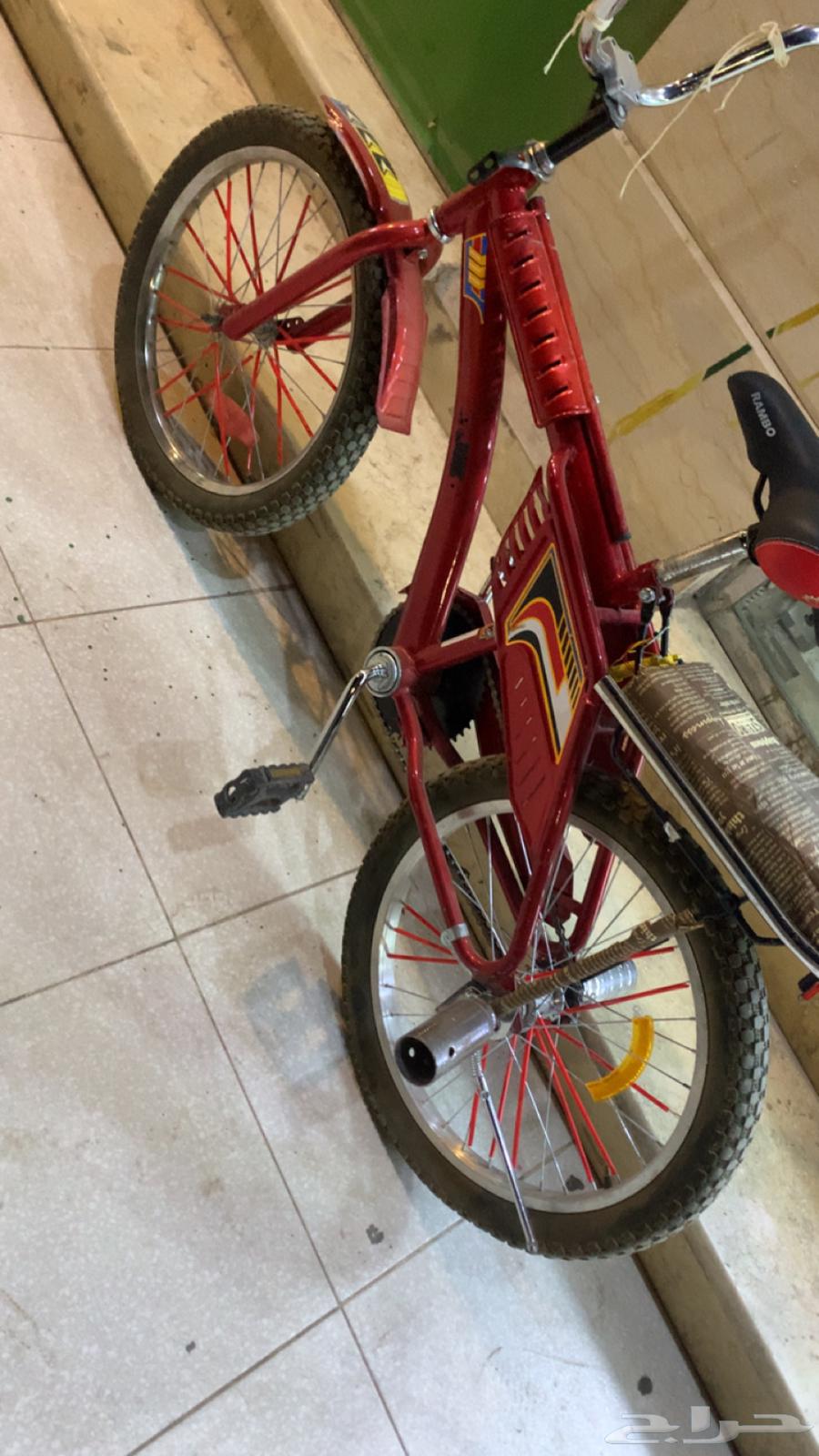 سيكل رامبو مقاس 2064243692017282110