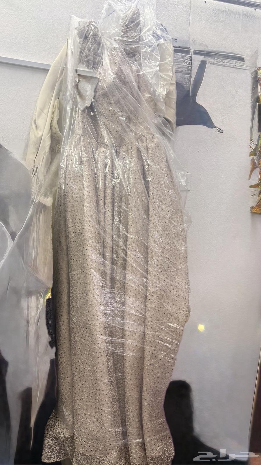 Taif64254598664834110