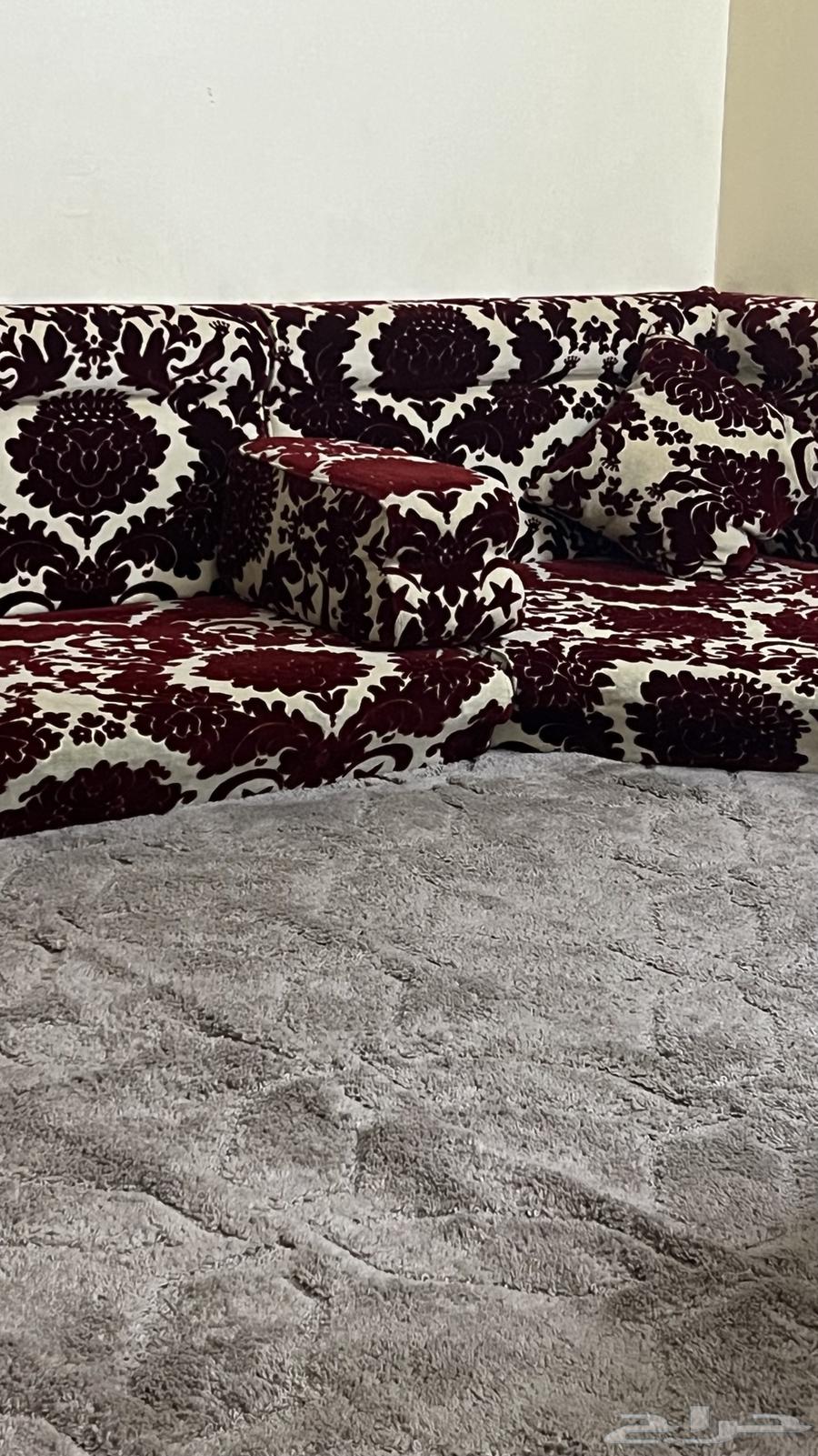 باطرمة ابو طير تسعة قطع كاملة نظيفة للسوم من 50064251711549570111