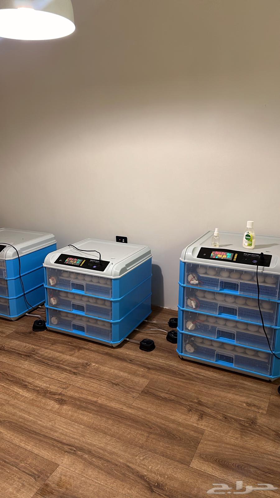 فقاسه للبيع اوتومتيك 32064247162035587110