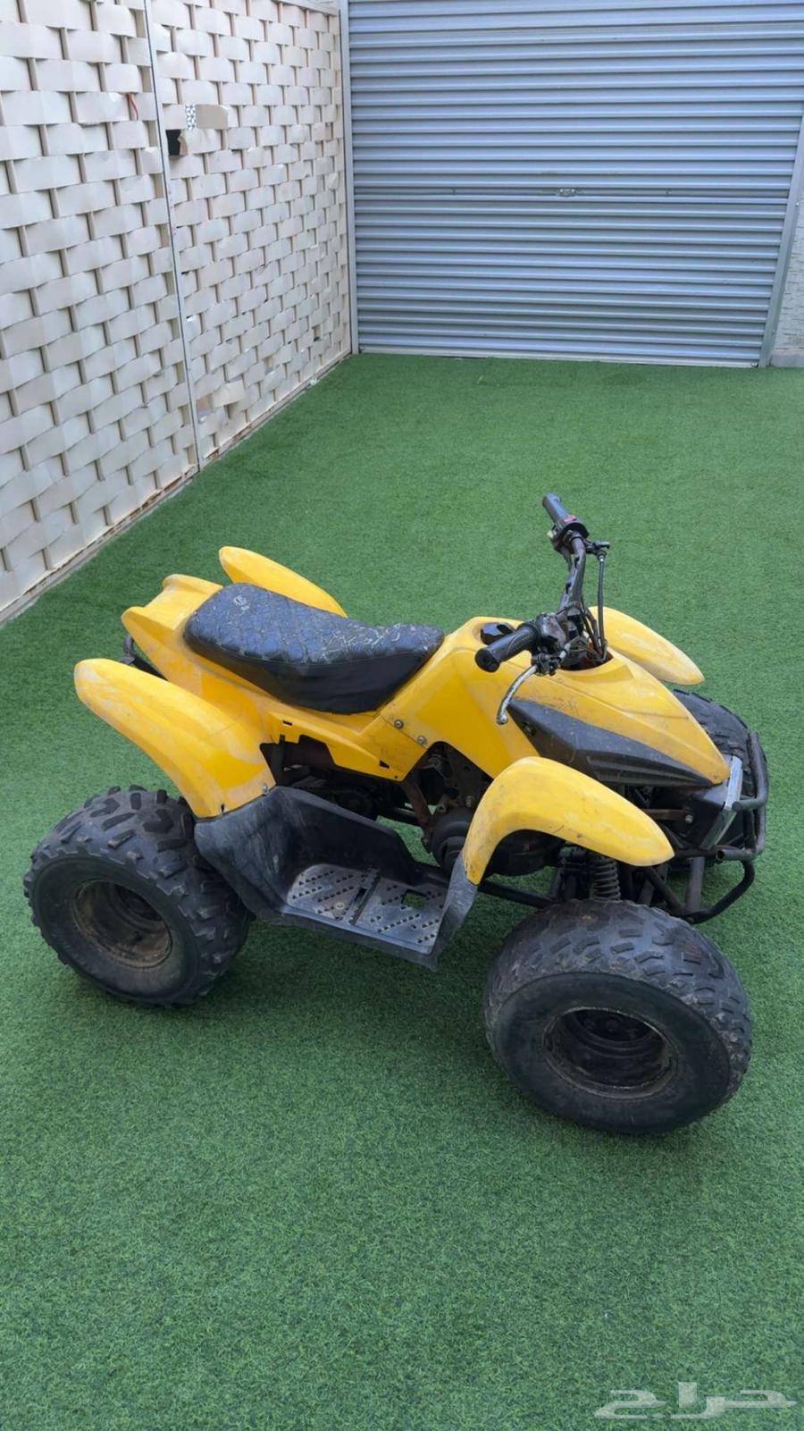 دباب للبيع64419412556161113