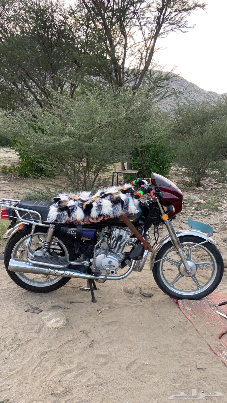 دباب سويدي64417264978563110