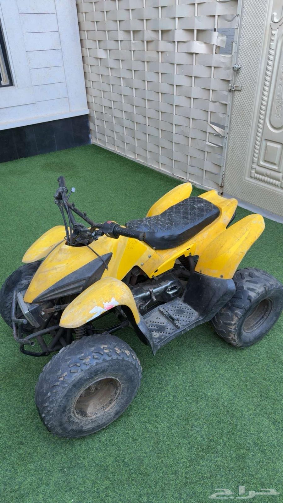 دباب للبيع64419412556161111