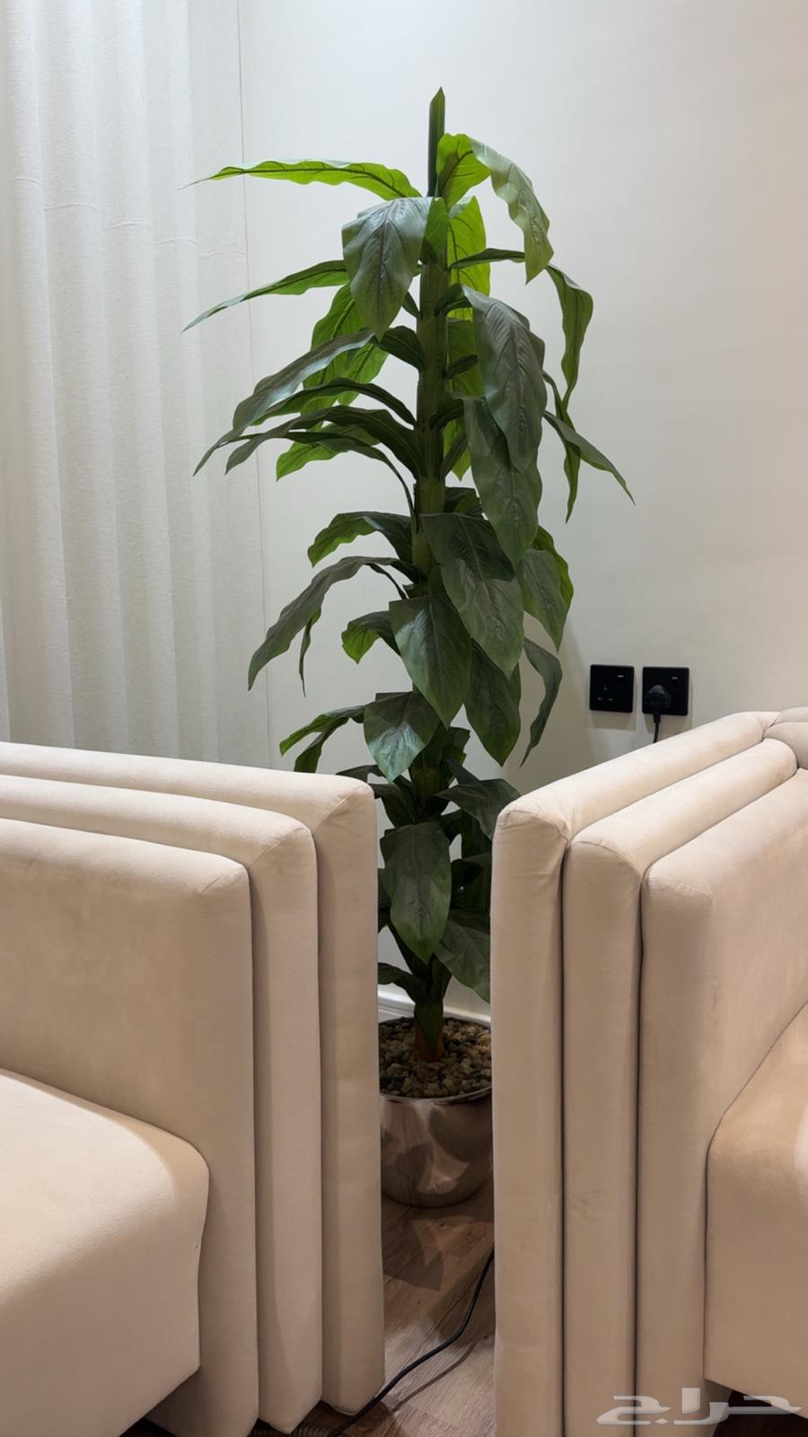 كنب مستخدم سنتين شبه نظيف64248894976514111