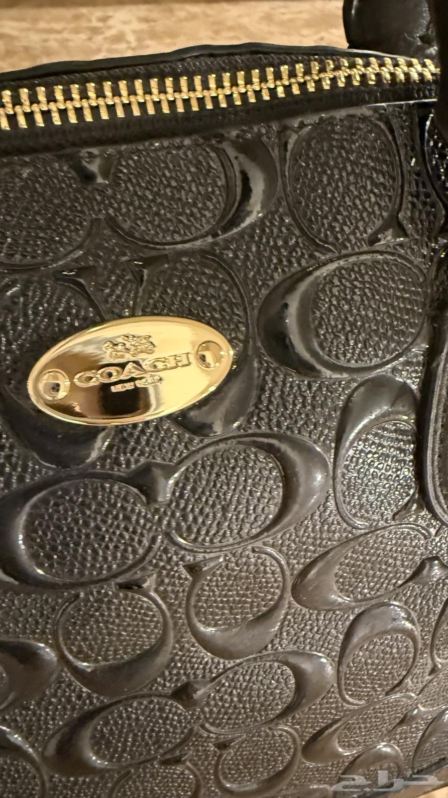 شطه كوتش اصليه للبيع64234297659395110