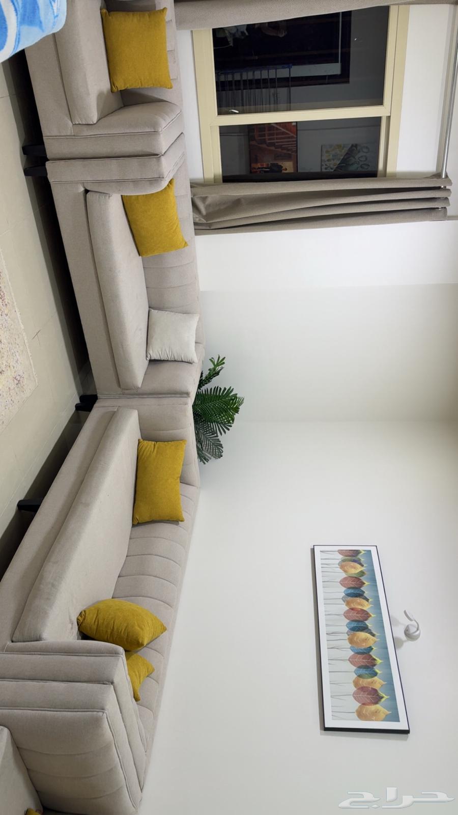 Sofa64244433737346112