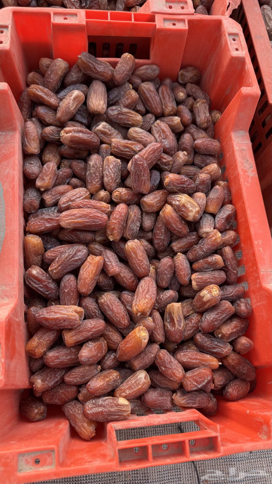 Zero Bananas Tripling64250927967107112