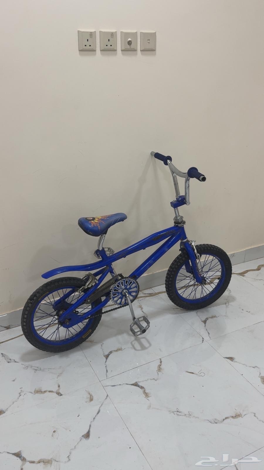 Cobra Cycle64238697711107110