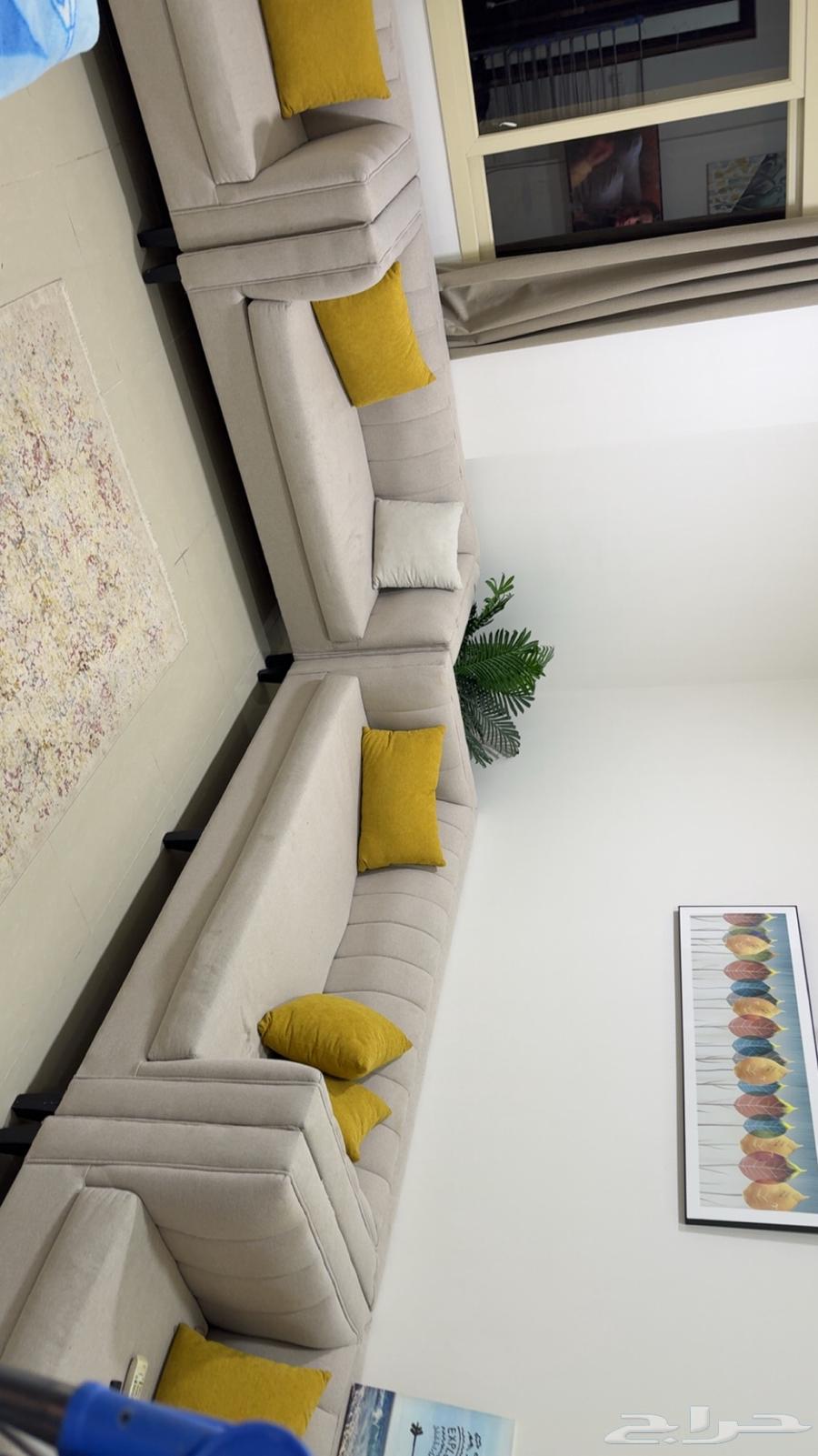 Sofa64244433737346110