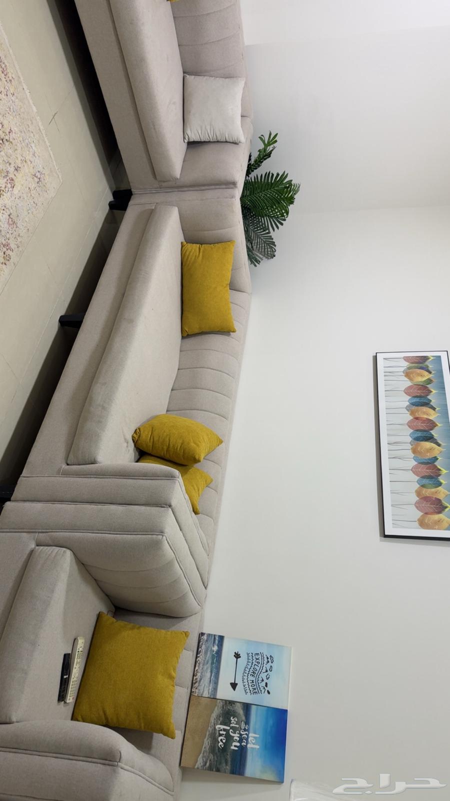 Sofa64244433737346111