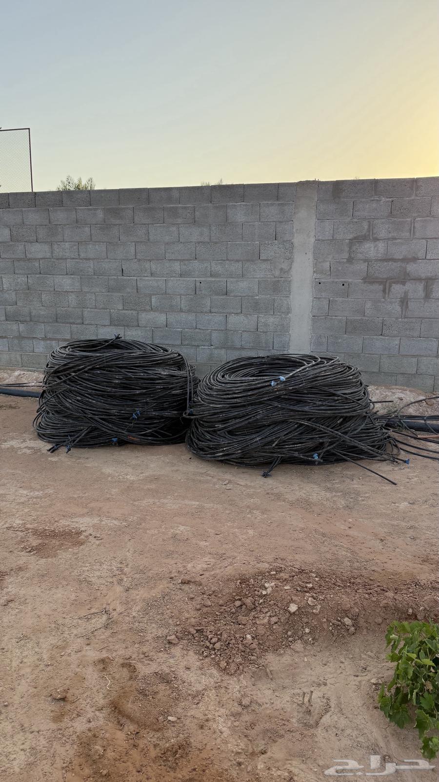 ليات استخدام شهرين فقط مايشكو من شي نهائي64248894802433110