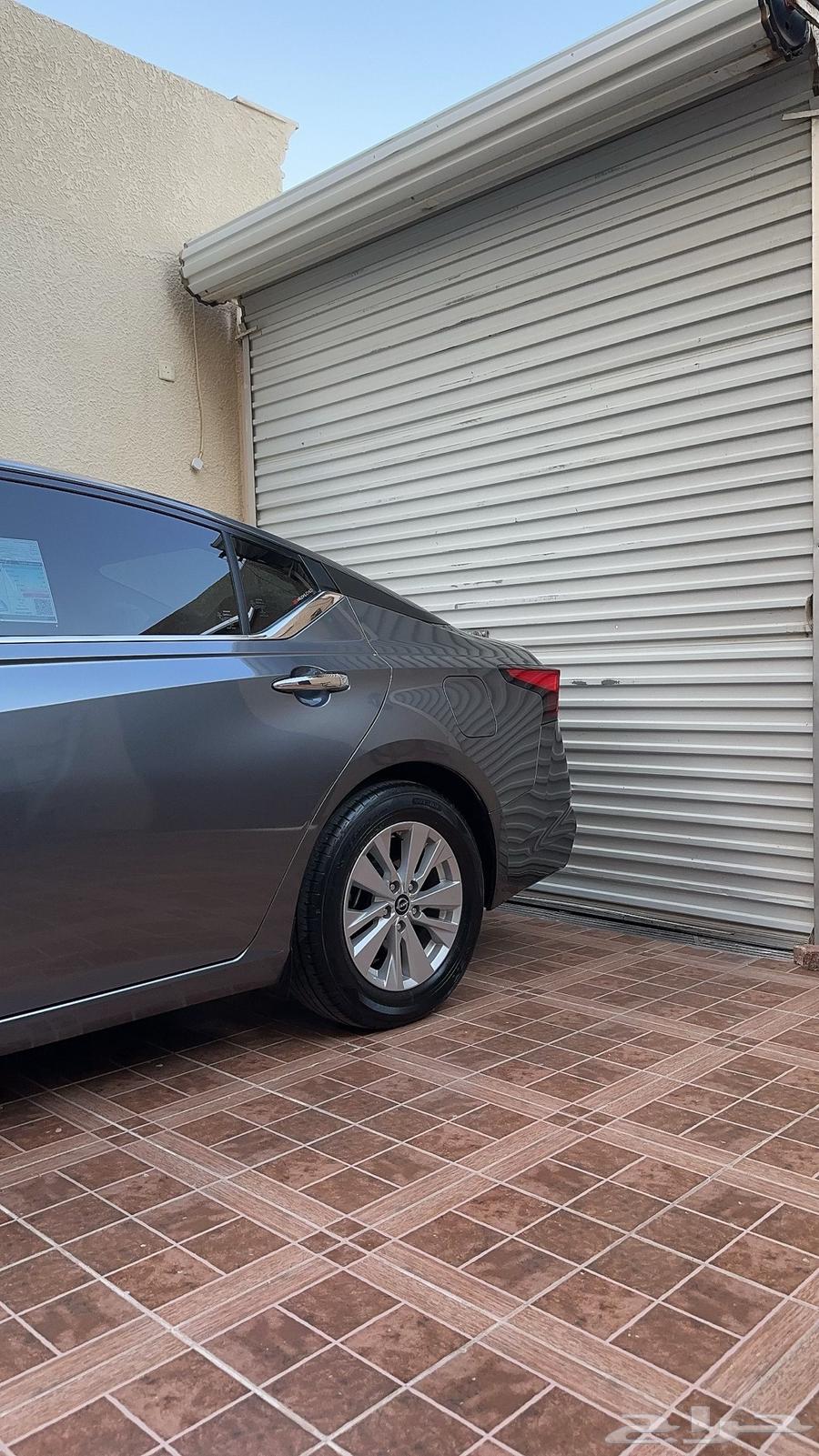 Tayma S 2023 for transfer64410101973506111