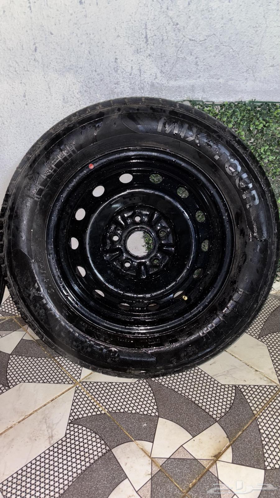 جنوط 1564418445169538111