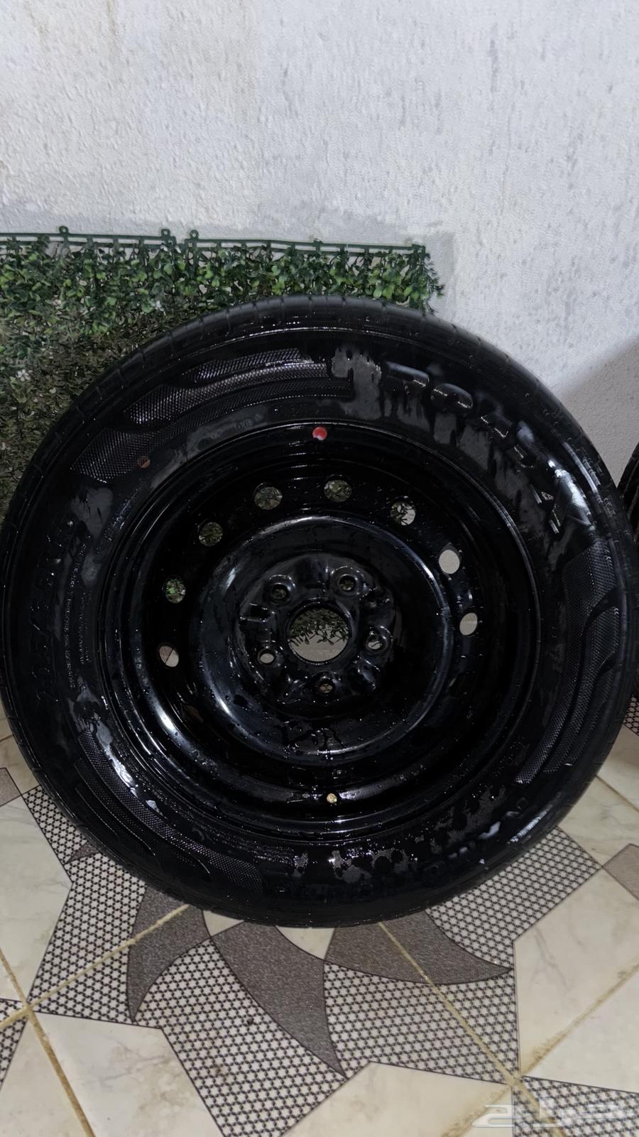 جنوط 1564418445169538112