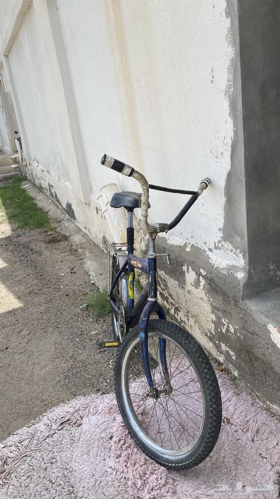 سيكل للبيع64243023067394112