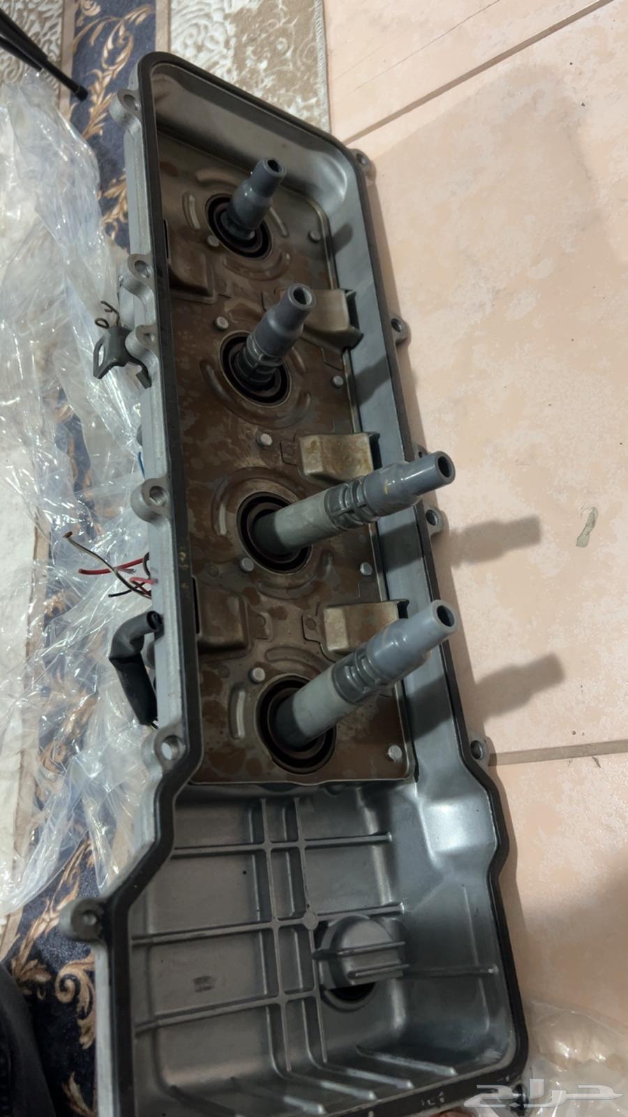 Ras Bradu with Coils64409796485890113