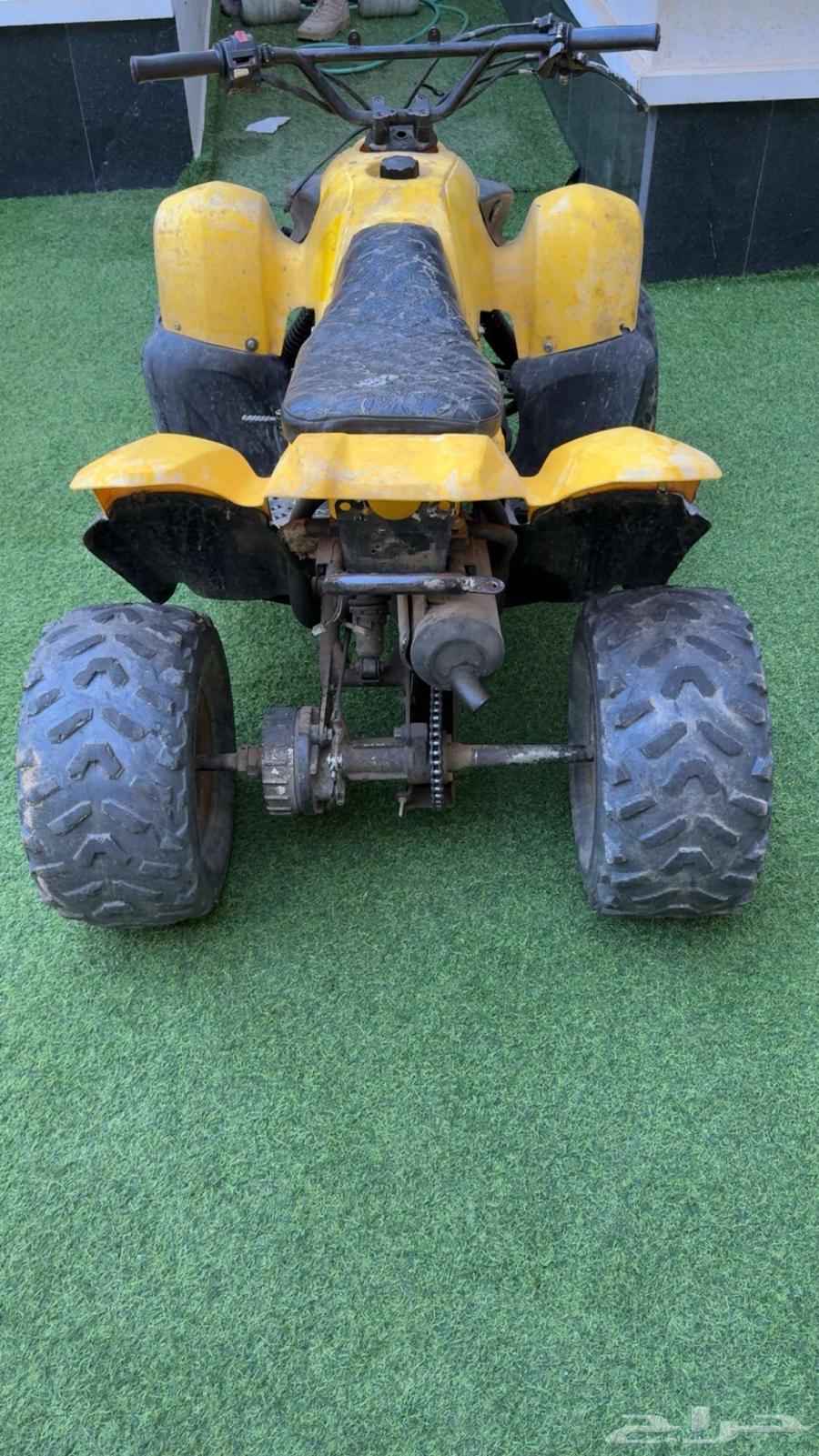 دباب للبيع64419412556161112