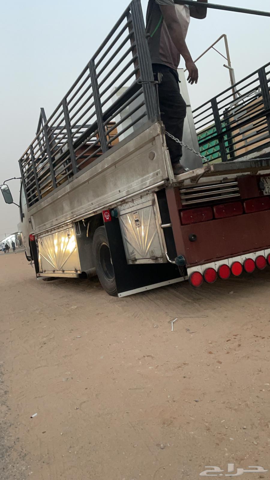 Dina Crane, Dina Winch, Dina Crane Taif64410187943427110