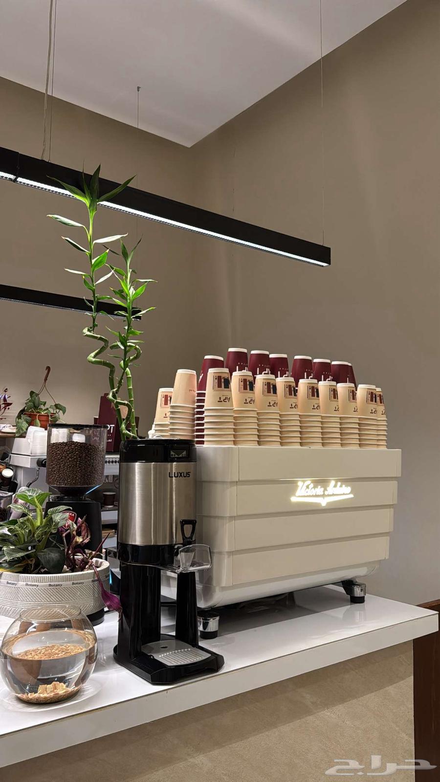 Sanremo Zoe Professional - Victoria Arduino64242263937281110