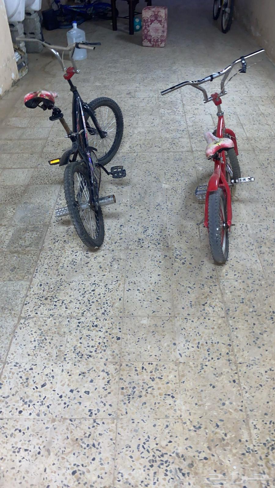 سياكل كوبرا64234284978690111