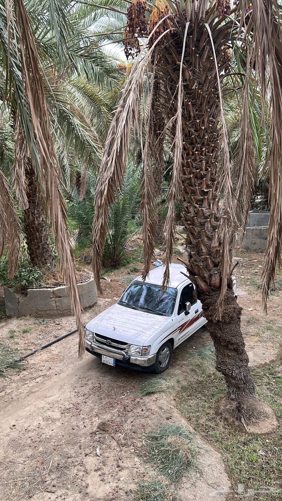 2002 Hilux fully equipped, inspected and renewed64409324466947110