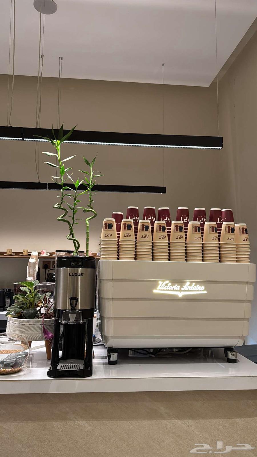 Sanremo Zoe Professional - Victoria Arduino64242263937281112