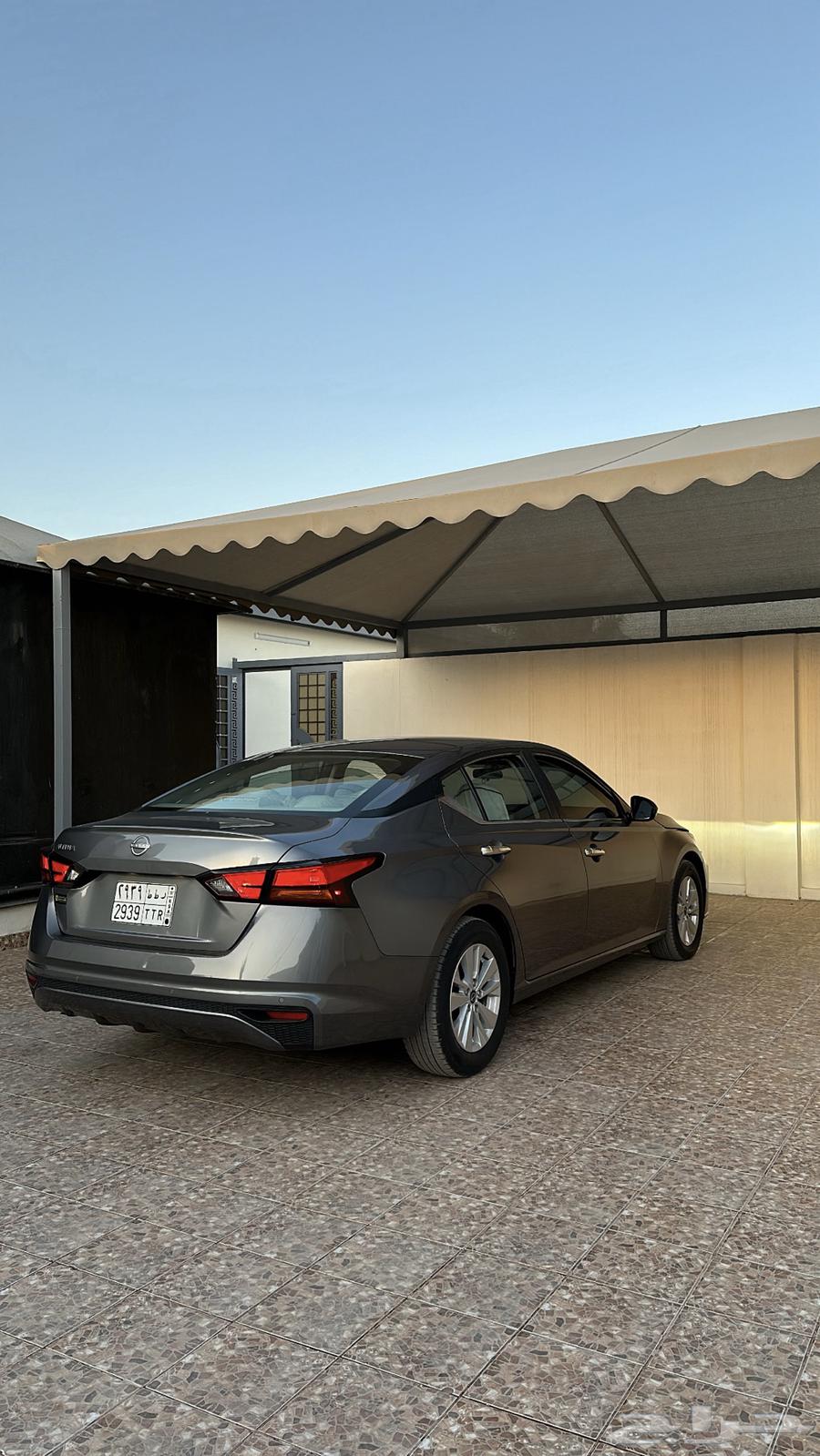 Tayma S 2023 for transfer64410101973506112