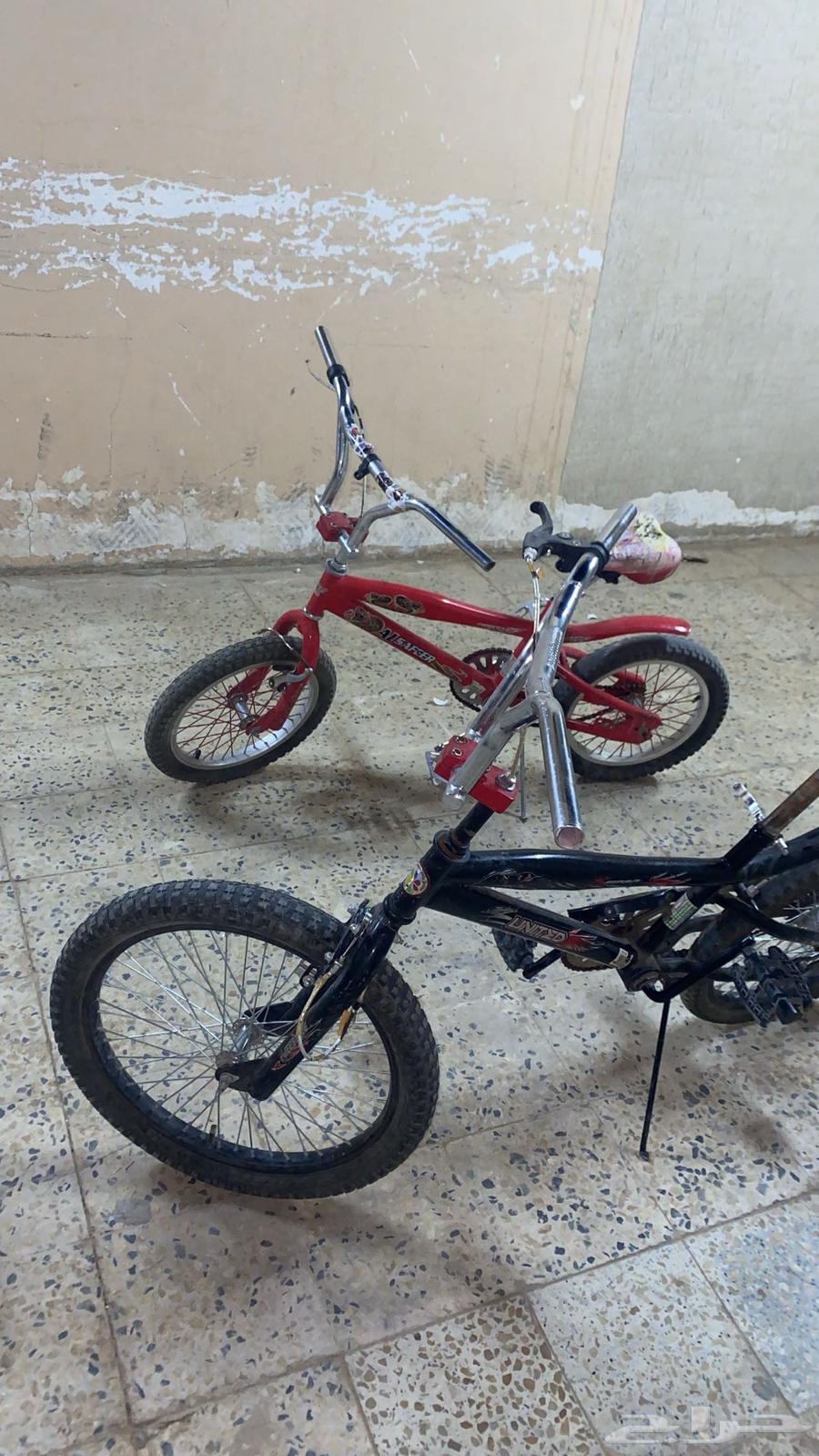 سياكل كوبرا64234284978690113