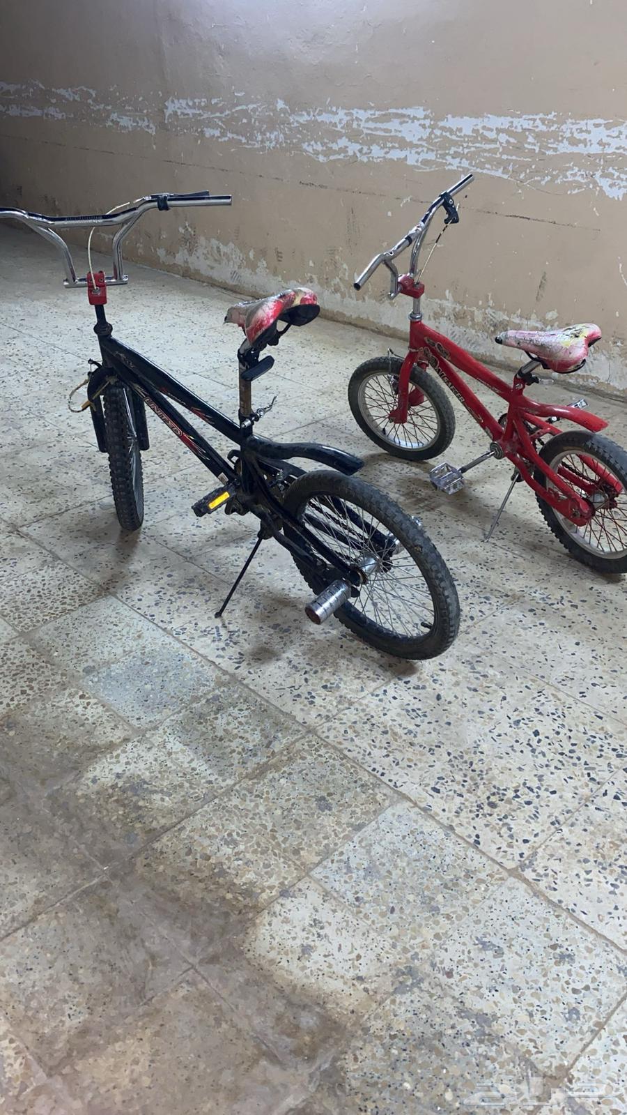 سياكل كوبرا64234284978690110