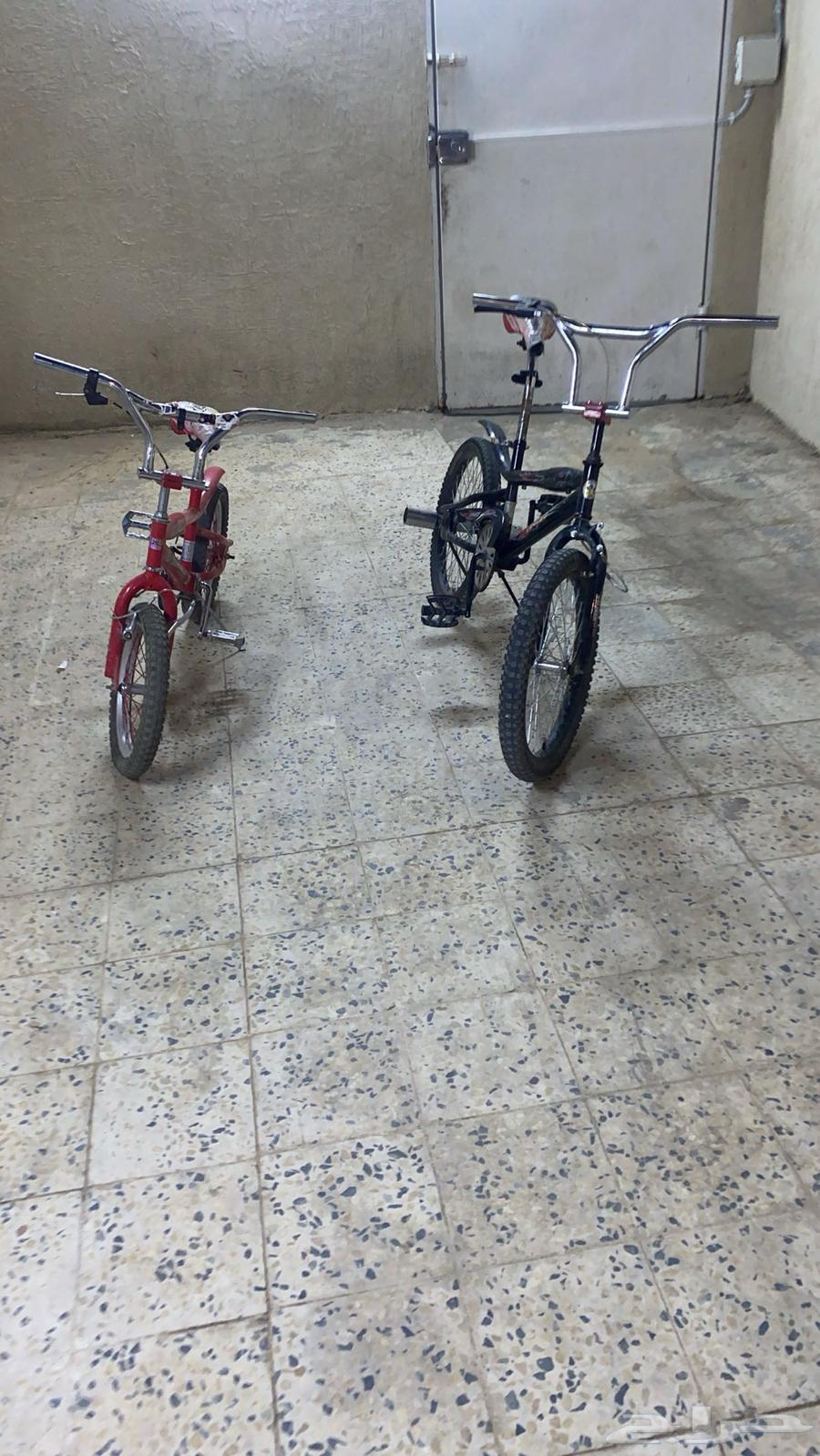 سياكل كوبرا64234284978690112