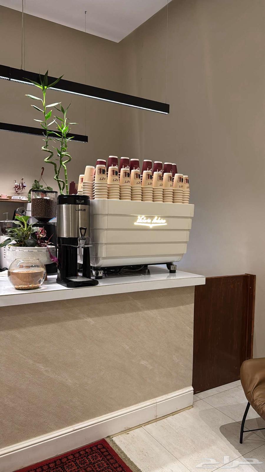 Sanremo Zoe Professional - Victoria Arduino64242263937281111