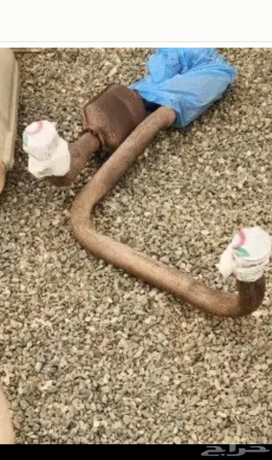 دبت تلوث جمس مليانه ( رصاص) مديل 9864415719596546110