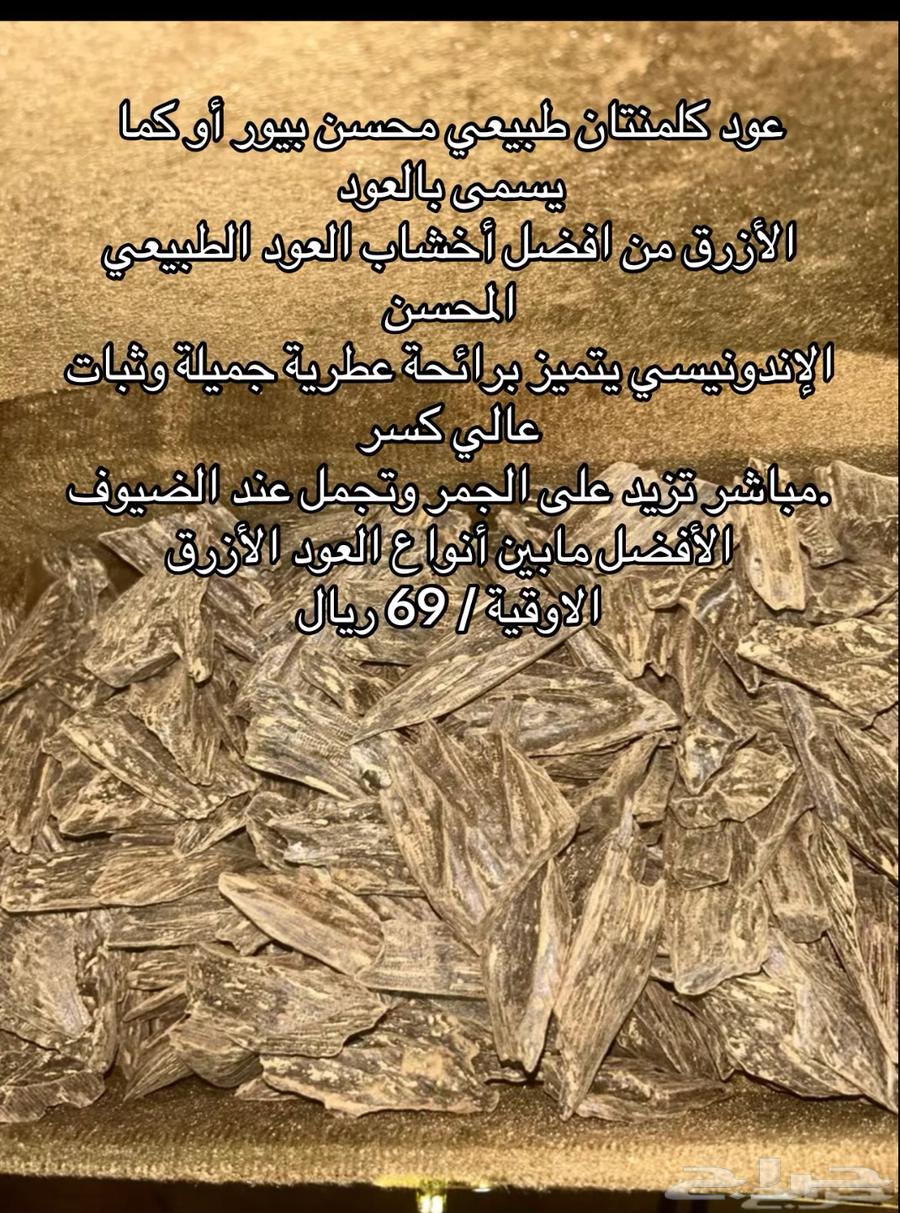 مروكي بيور محسن بمناسبة اليوم الوطني64240396056706113