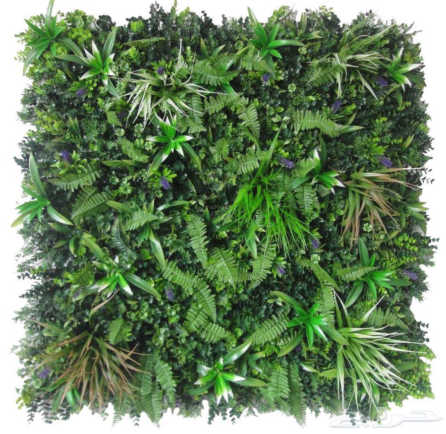 عشب جداري خارجي ممتاز64245809316226111