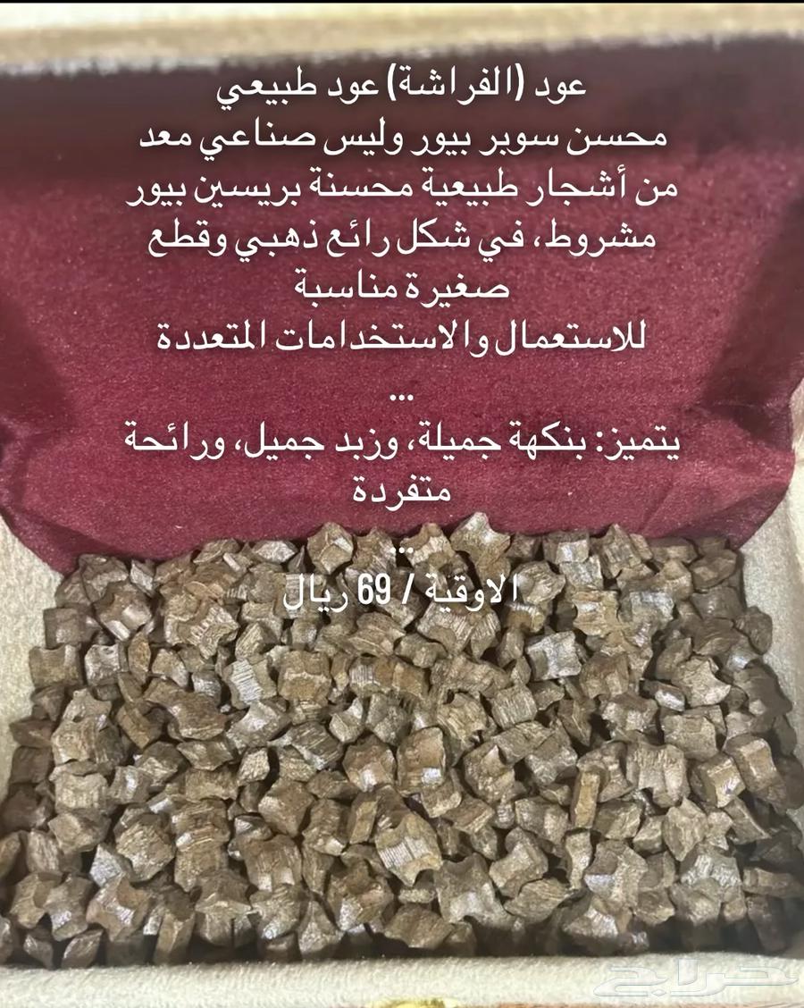 مروكي بيور محسن بمناسبة اليوم الوطني64240396056706112