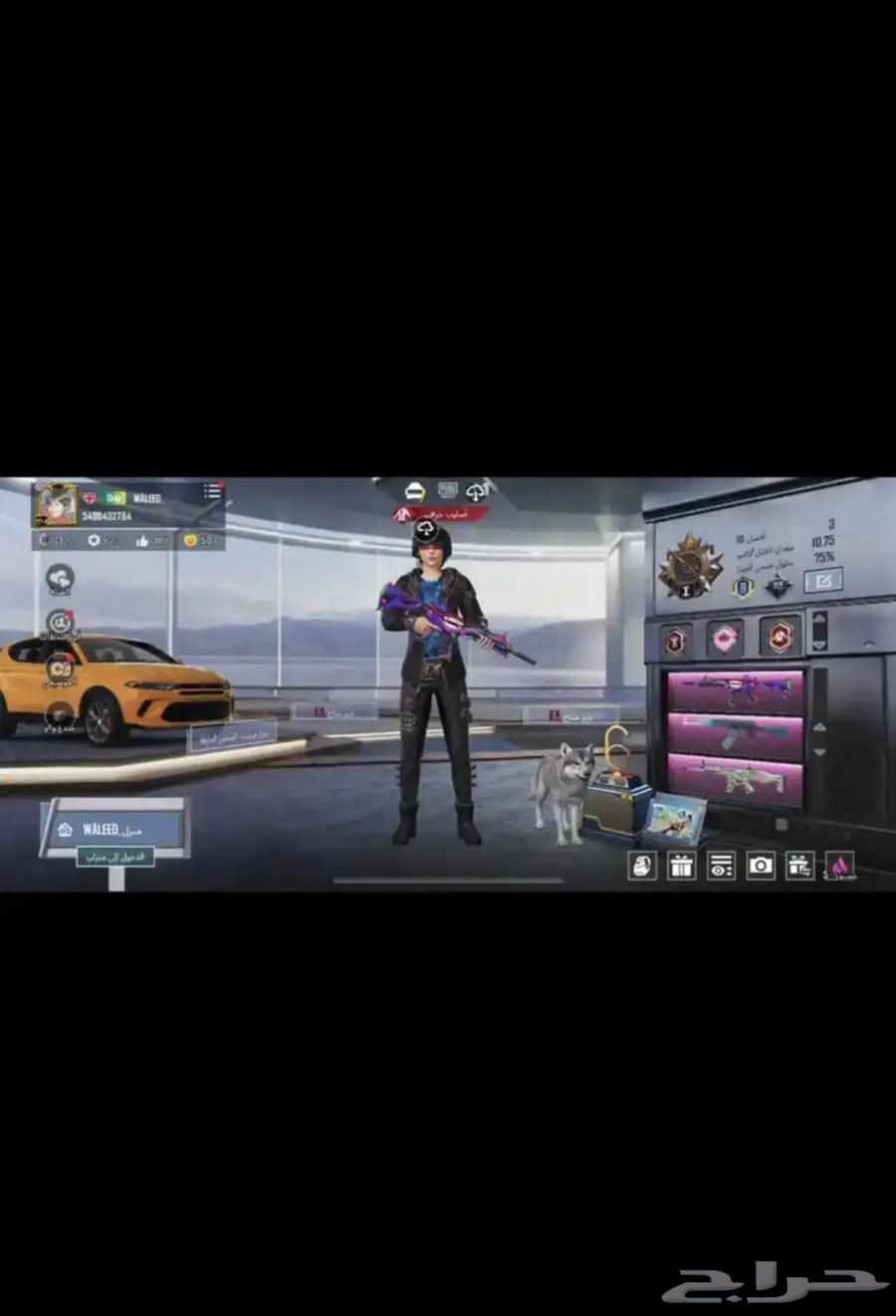 حساب ببجي64243895842433111