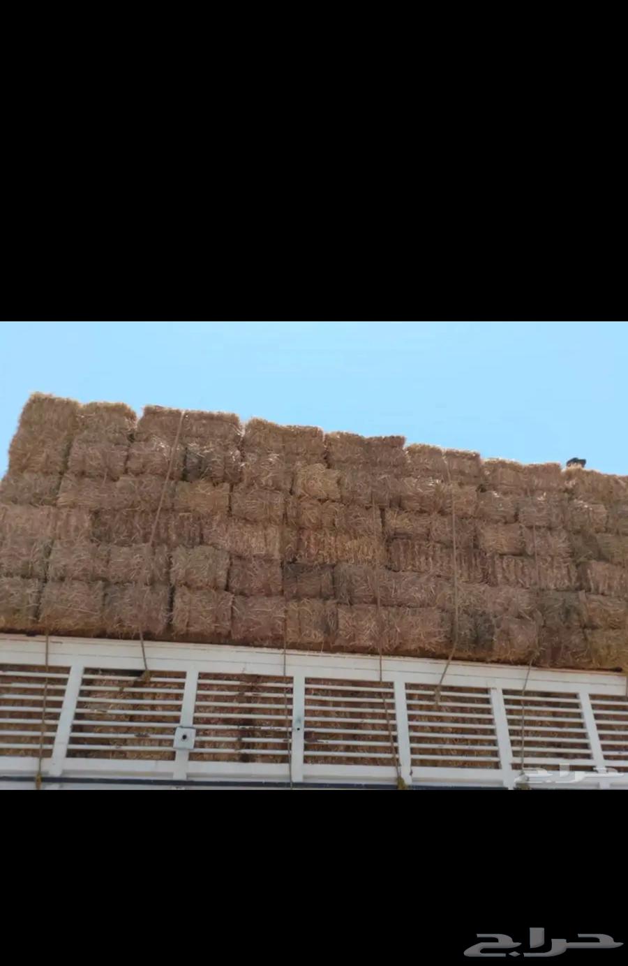 Nadi Company Wheat Straw Feed64243169921537113