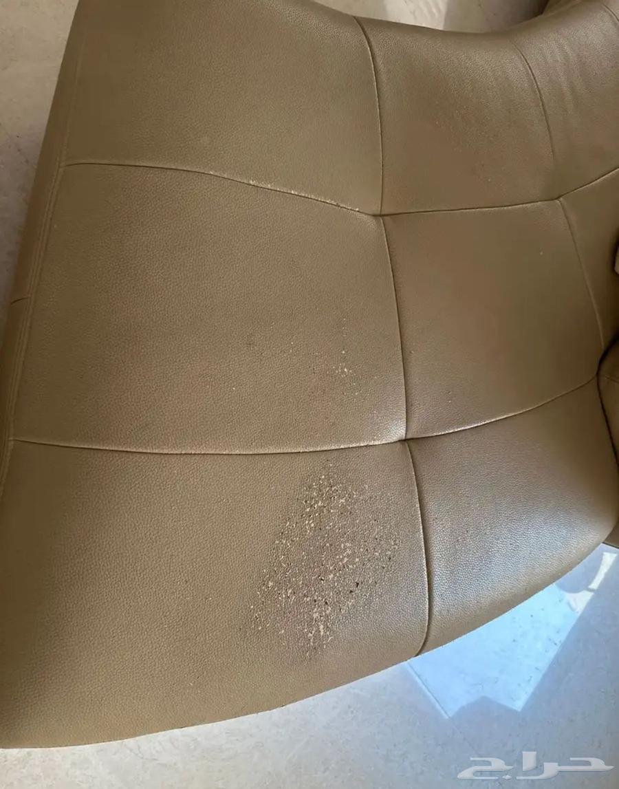 كنب جلد كامل64242264123010111