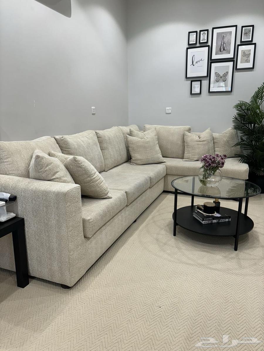 Two sofas and a very clean table64248505341954112