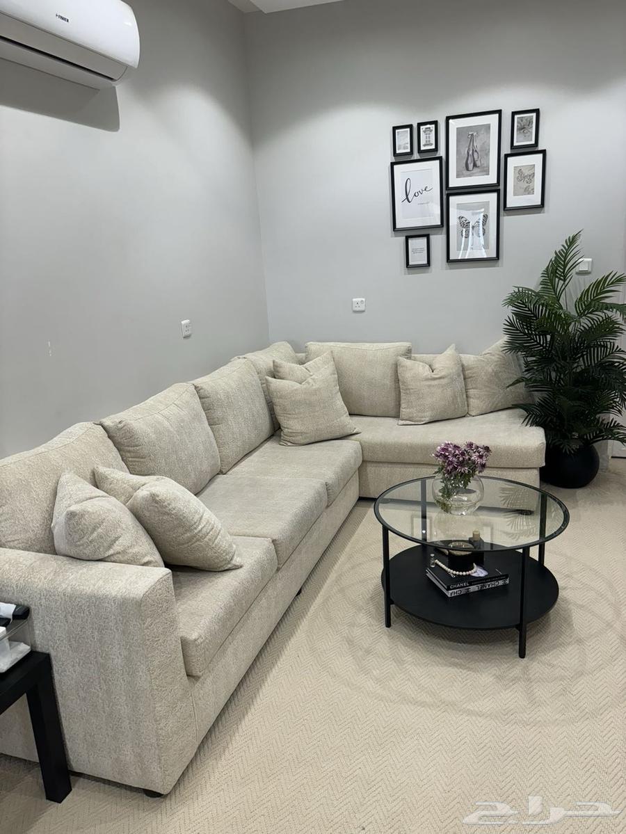 Two sofas and a very clean table64248505341954110