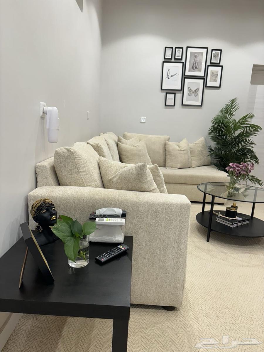 Two sofas and a very clean table64248505341954111