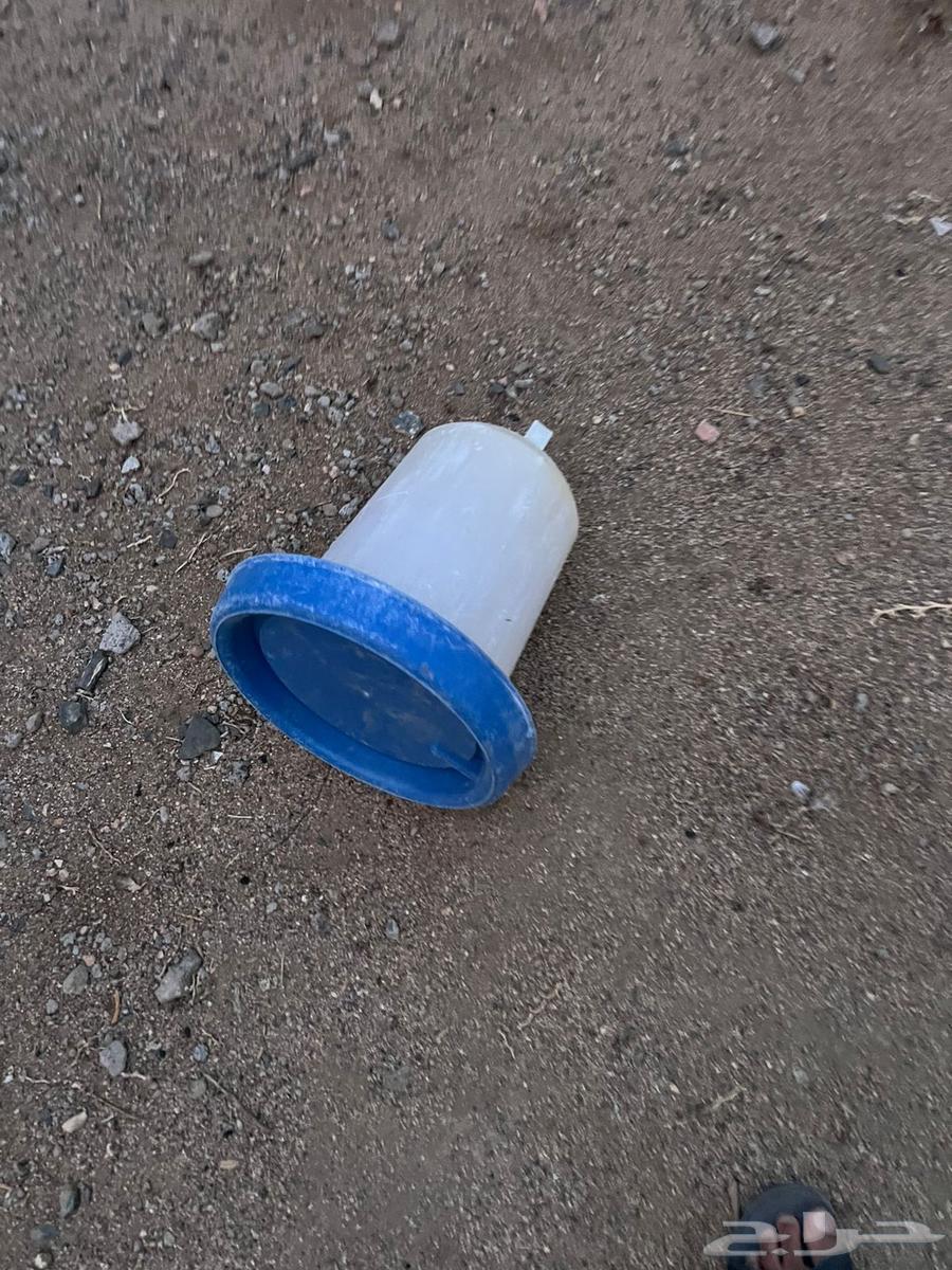 للبيع مسلتزمات دواجن64244076273538114