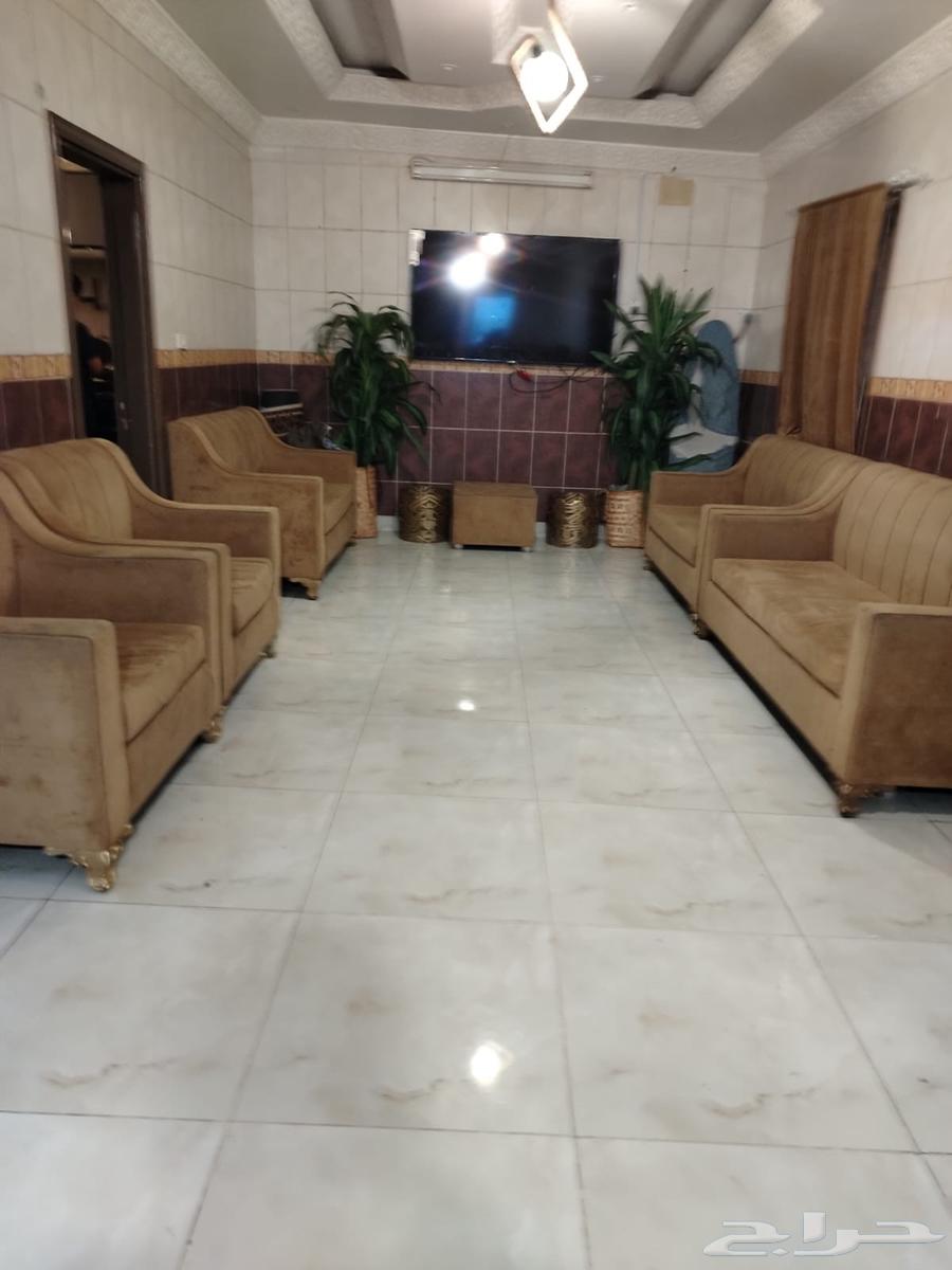 Selling knaps, a bike, and an oud drum64248273287938111